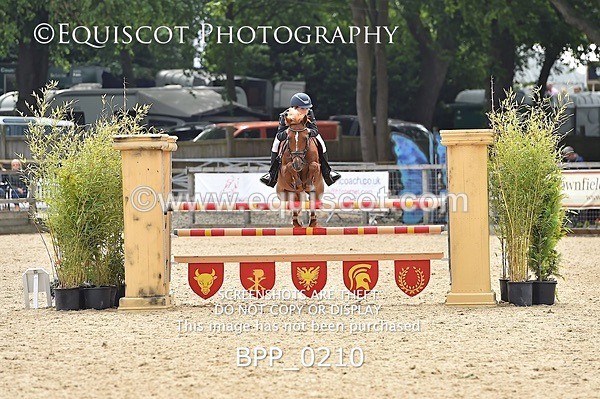 BPP_0210 - RHS 2019 Selection - *Just some random spectator shots so Lucky Dip if you are there!