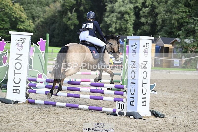 251005A-123701-03855 - Cls 08 Mini 70-75cm