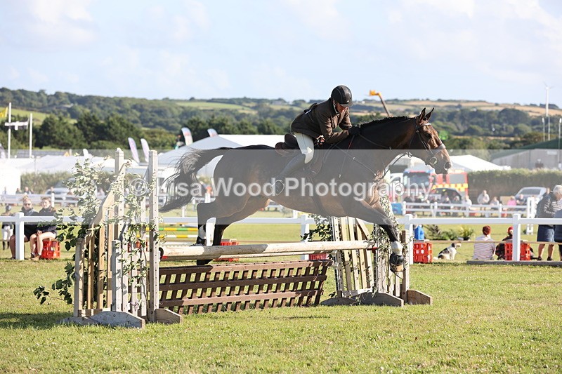 JPP_3091 - Class 21: Working Hunter 80cm