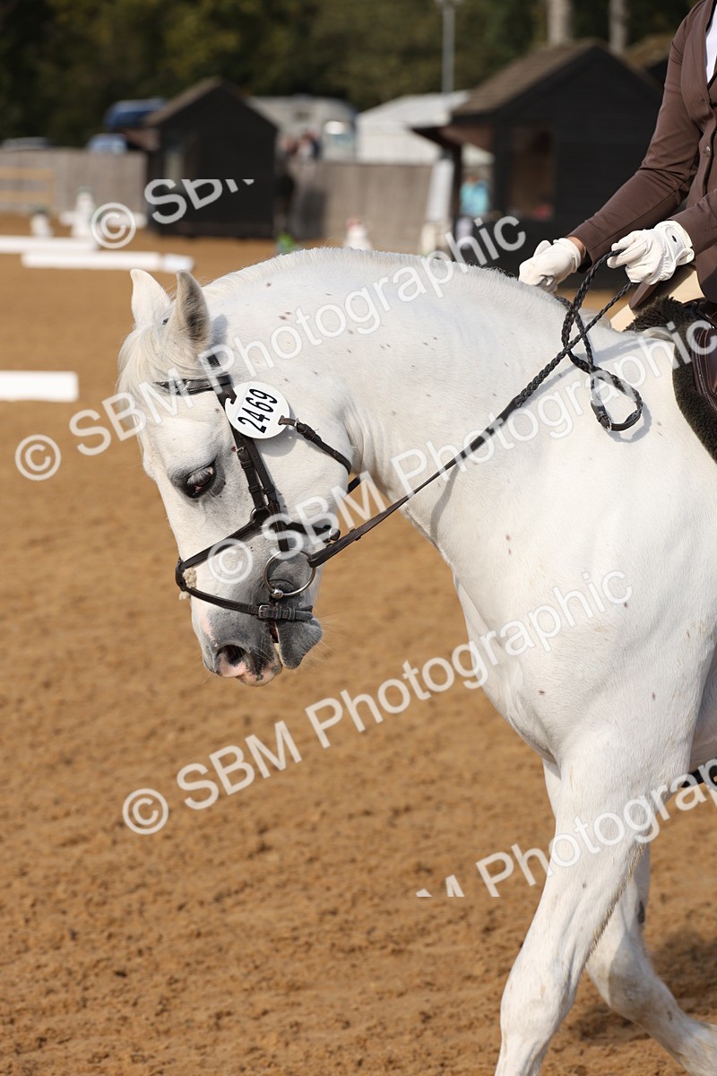 SBM_50415 - D12 - Small Tour Championship prelim 2