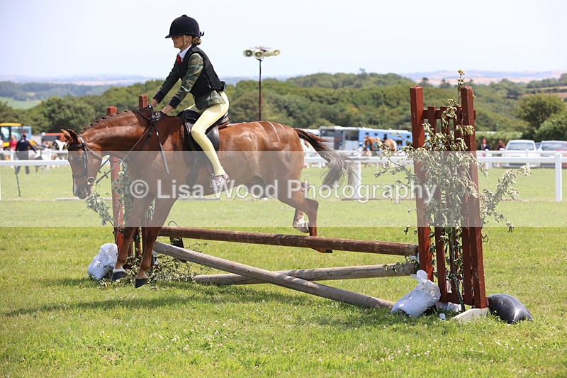 JPP_2574 - Class 21: Working Hunter 60cm