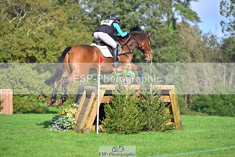 241025-112936-06725 - 053-Lois.Teal-Z7.CATASTROPHE