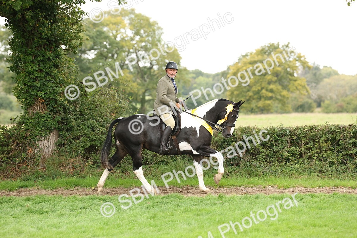 SBM_67322 - S67 - Piebald & Skewbald Horse Ridden