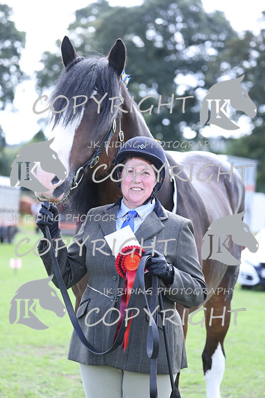 APP_3332 - Class 4 Veterans