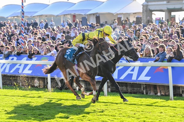 111025-Race 5-Morshdi-8911 - Race 5 Coral 'We're Here For It' EBF Maiden Stakes at York