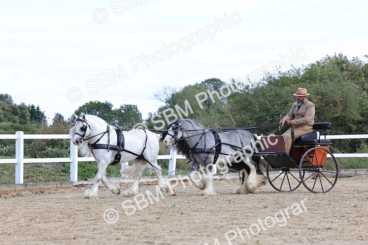 SBM_001184 - Class 16 - Pairs ,Multiples and Tandems