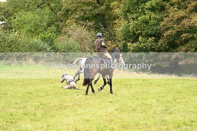 WJ7_4155 - Camera 1 Line 2