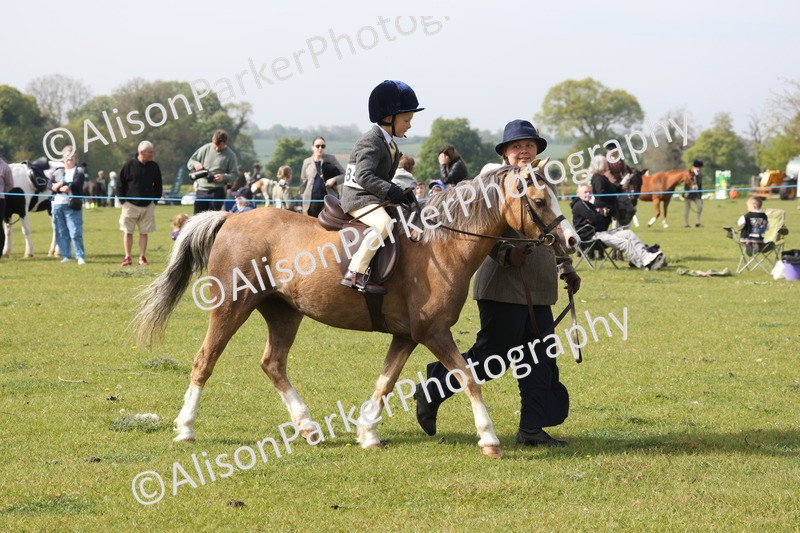 20260426-0421 - Class 30 - Tiny Tots Lead Rein