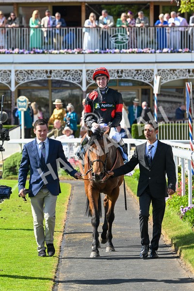 140525-Race 5-Rare Change-2782 - Race 5 4.18pm Conundrum HR Consulting Handicap