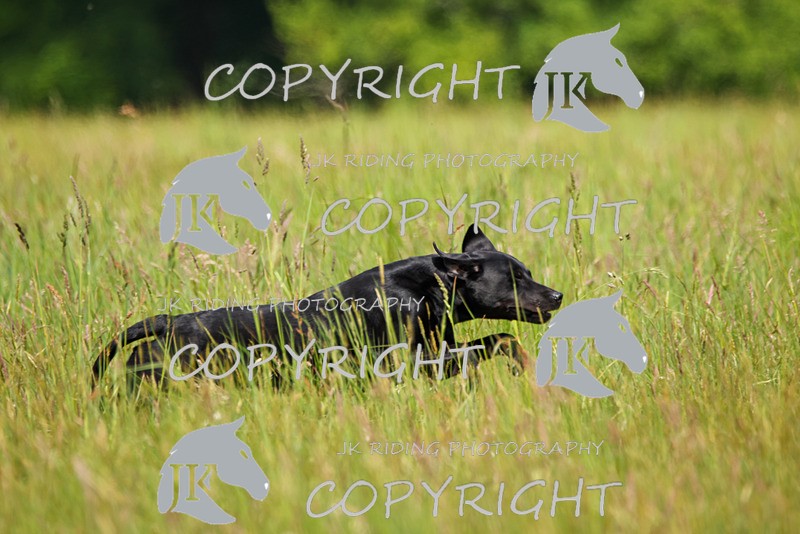 2R6A8328 - 8 Timothy