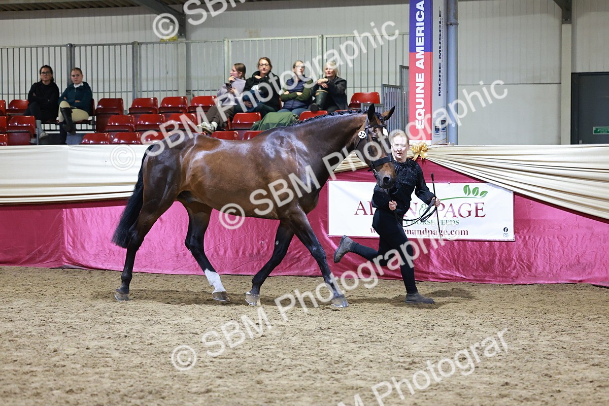 SBM_21200 - Class R - Veteran Champ