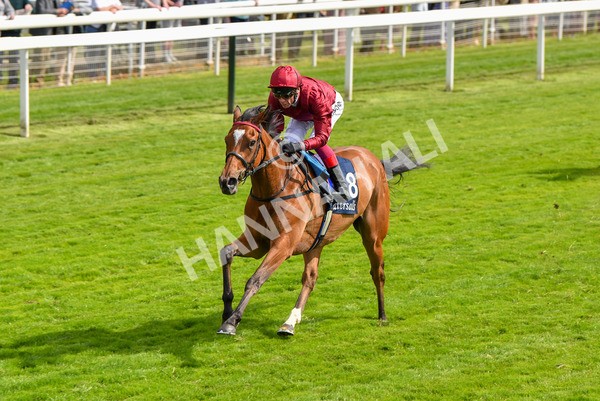 170523-Race 4-Soul Sister-8757 - Race 4 3.35pm Tattersalls Musidora Stakes