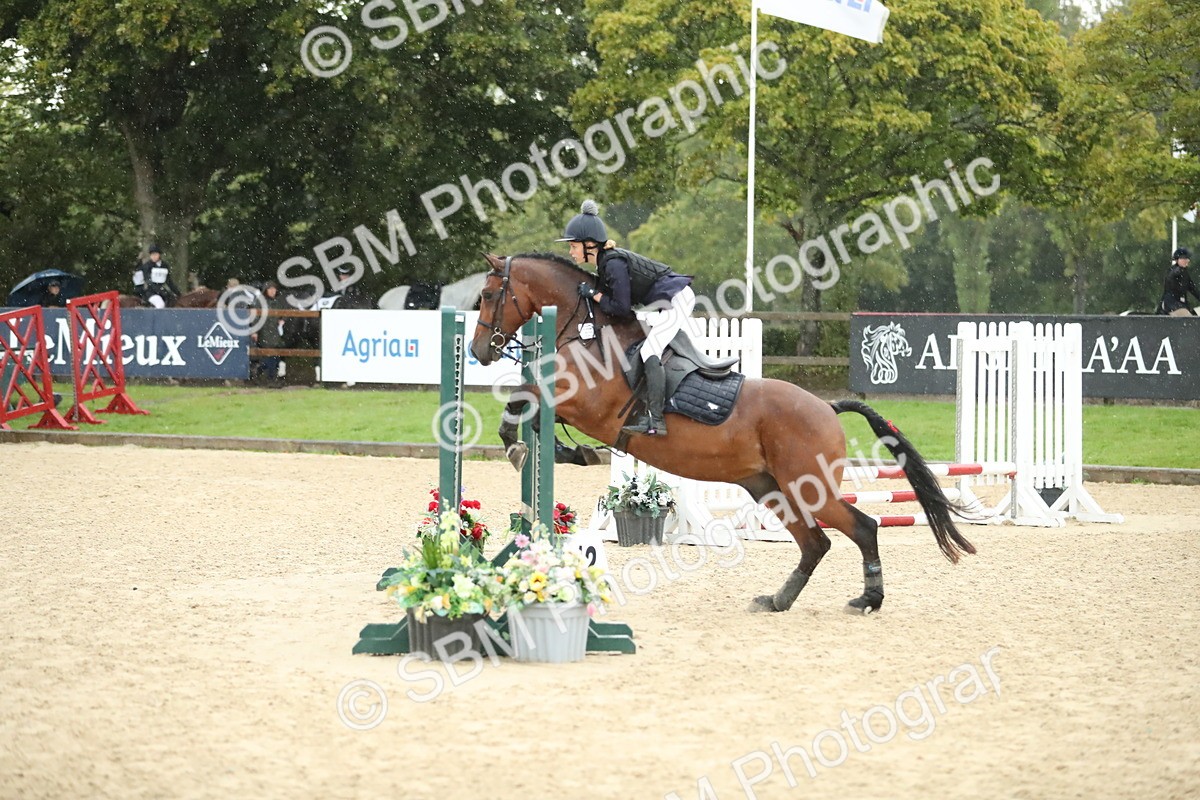 SBM_34321 - J60 Clear Round 50cm