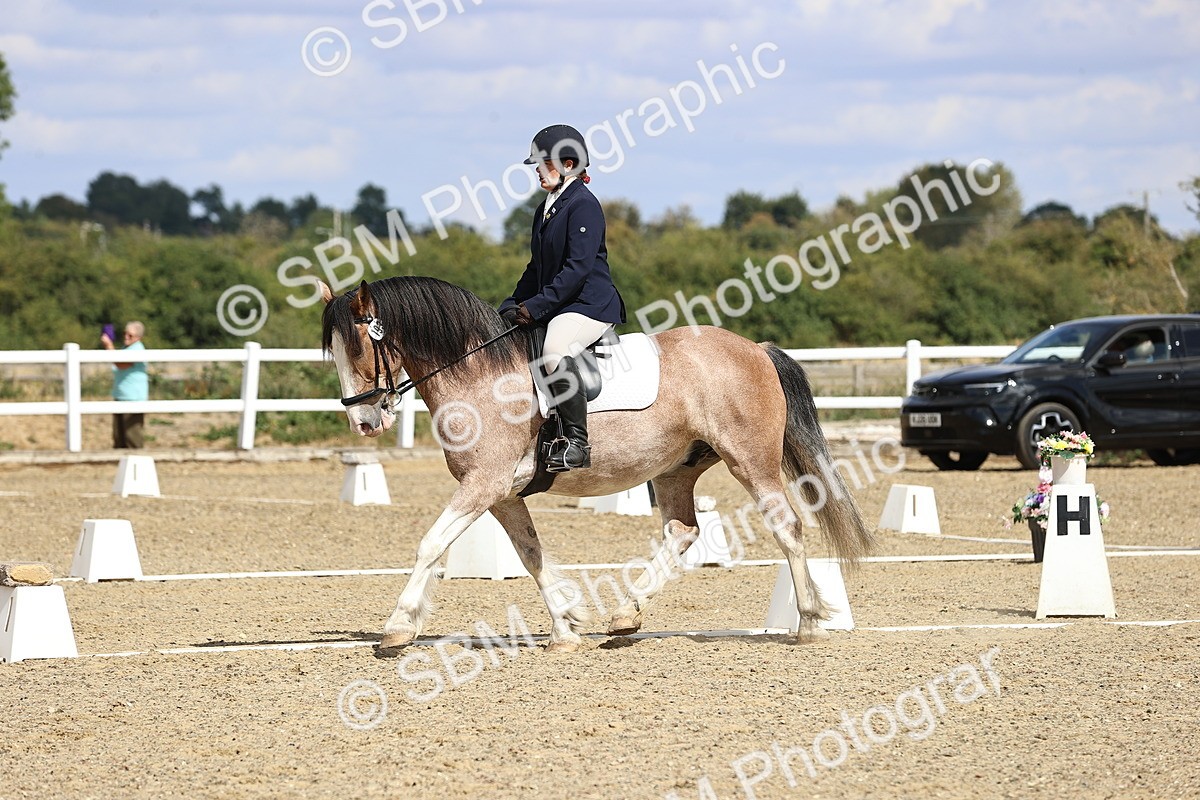 SBM_014561 - Class 5 - E5 Bronze 13.30.14.18