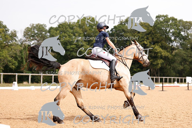 _R6A2827 - Dressage Morning