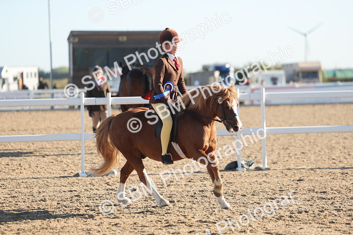 SBM_10945 - Class 301 - Ridden M&M Small Breeds