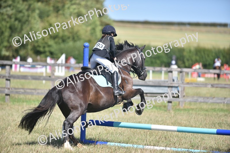20260906-1696 - Class 9 - Absolute Novice Jumping 45cm