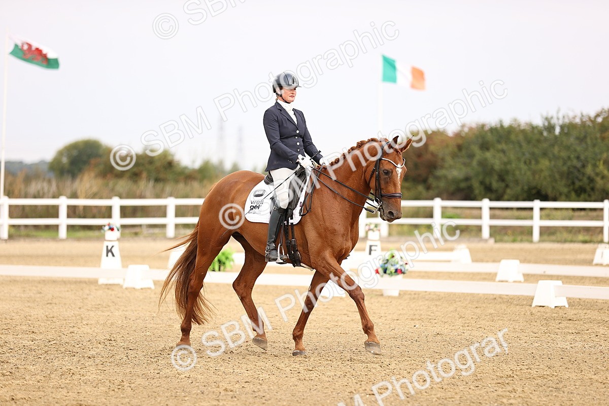 SBM_011643 - Class 1 - Medium 5