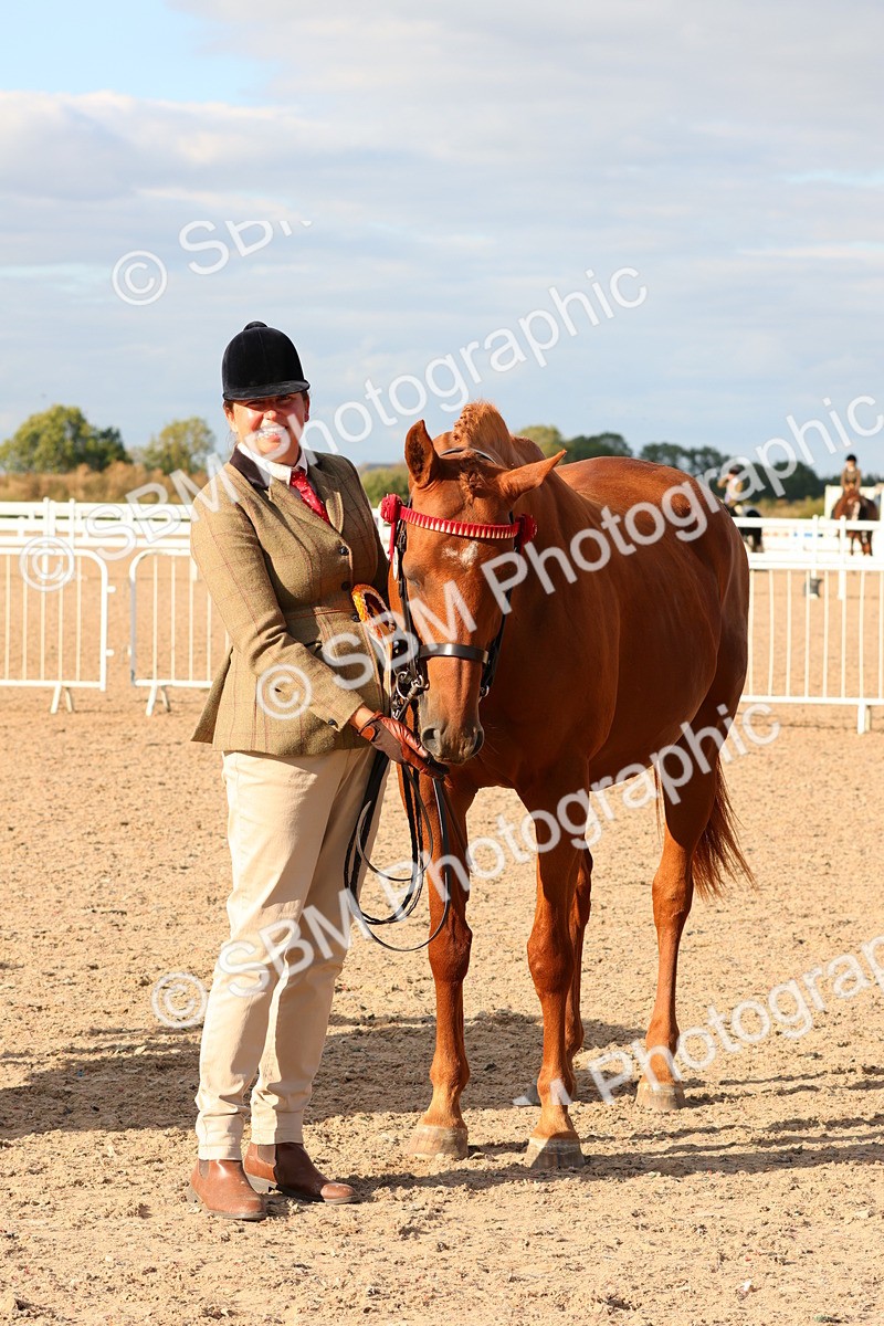 SBM_18427 - Class 318 - IH Part Bred Horse Pony