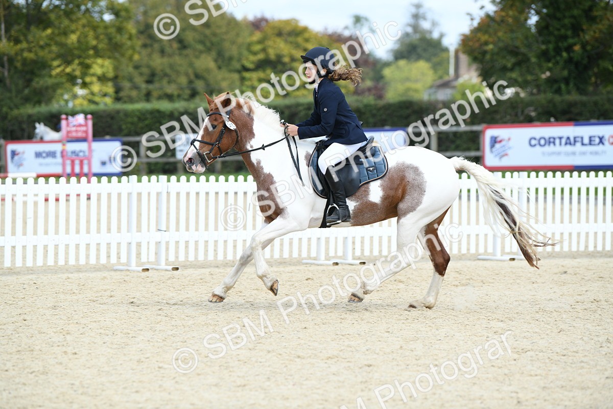 SBM_64877 - J48 - Pairs Jumping Open 70cm & 85cm