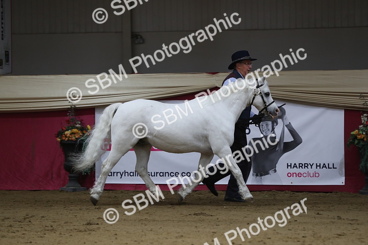 SBM_00521 - class 2a Area IH Veteran