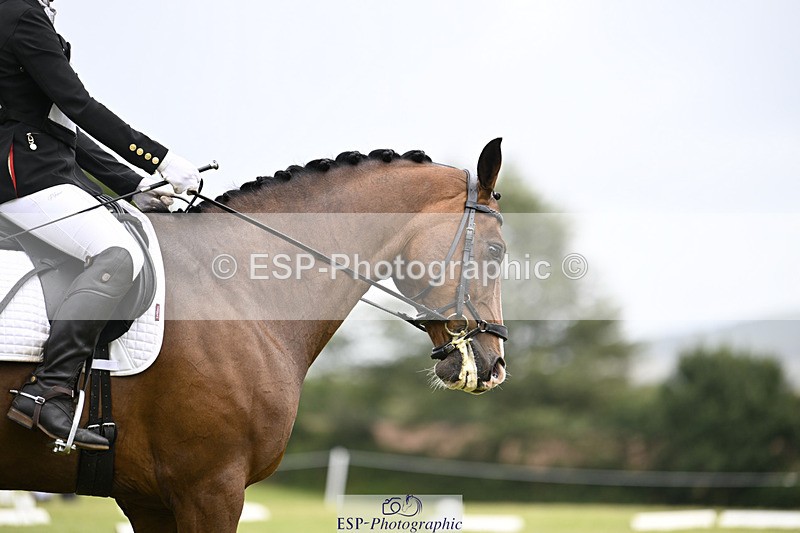 240824X-124244-26494 - D80 Section E and F 12.00 to 13.20