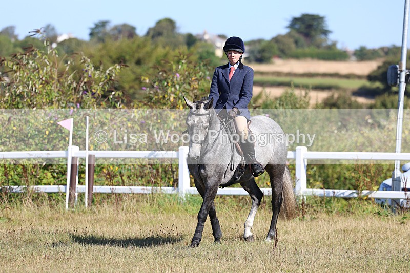 3E7A5471 - Class 3: Working Hunter 70cm