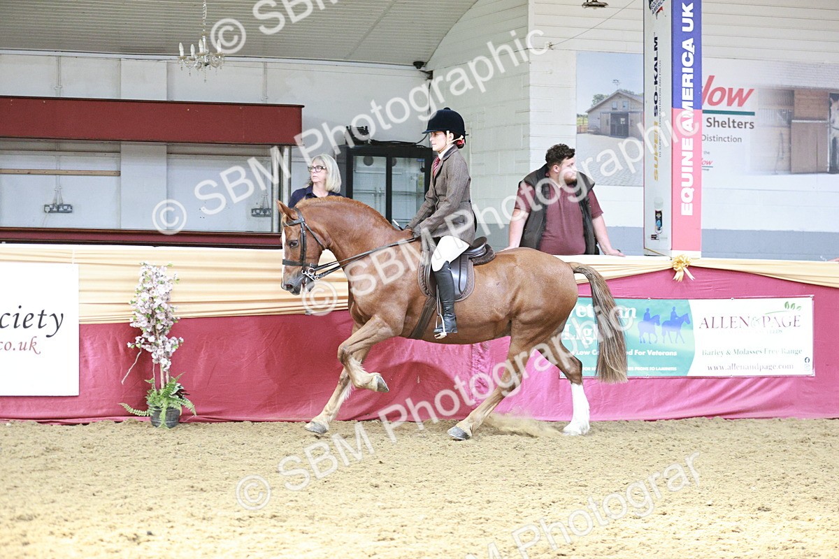 SBM_07018 - Class 10R - Regional Ridden Diamond
