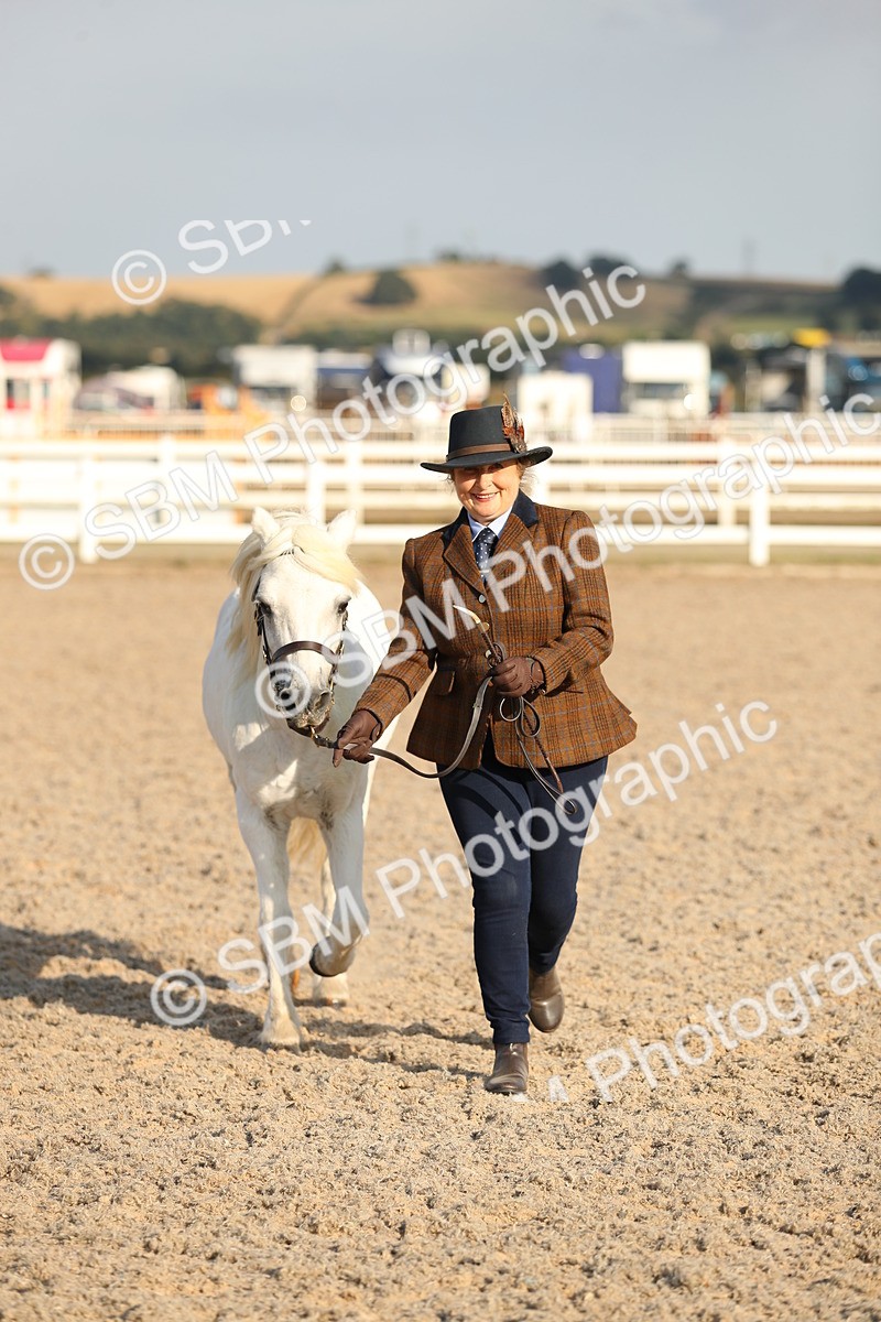 SBM_08969 - Class 29 IH Veteran Pony