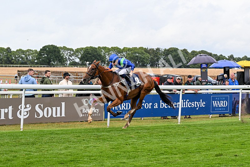 150725-Race 5-Sax Appeal-0784 - Race 5