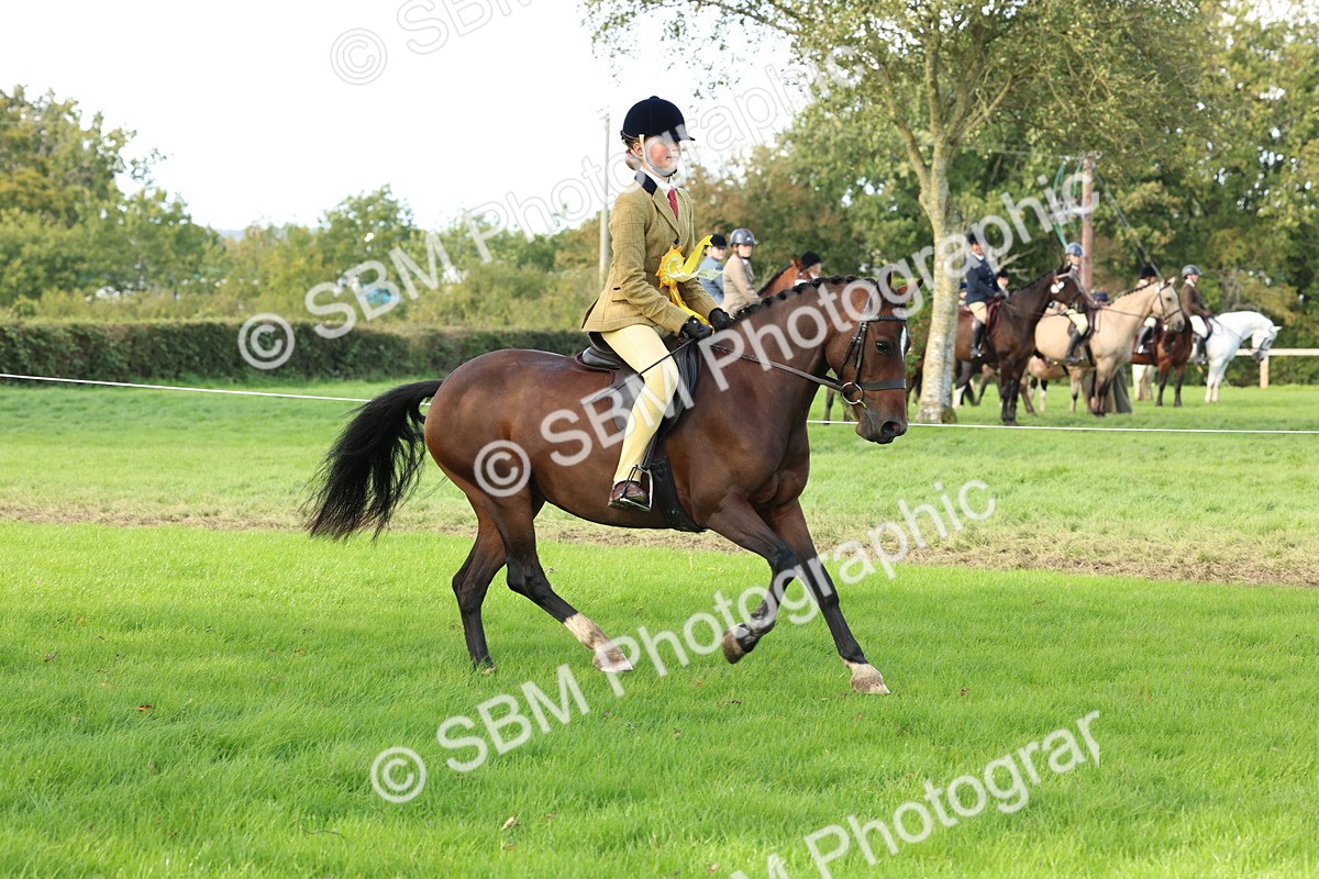 SBM_46351 - Working Hunter Pony Supreme Championship
