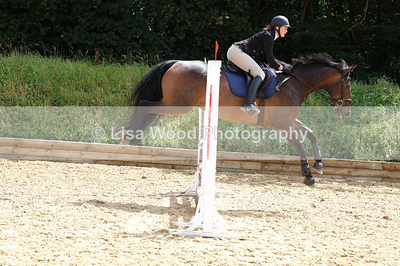 3E7A0213 - Class 9: Senior British Novice/90cm open