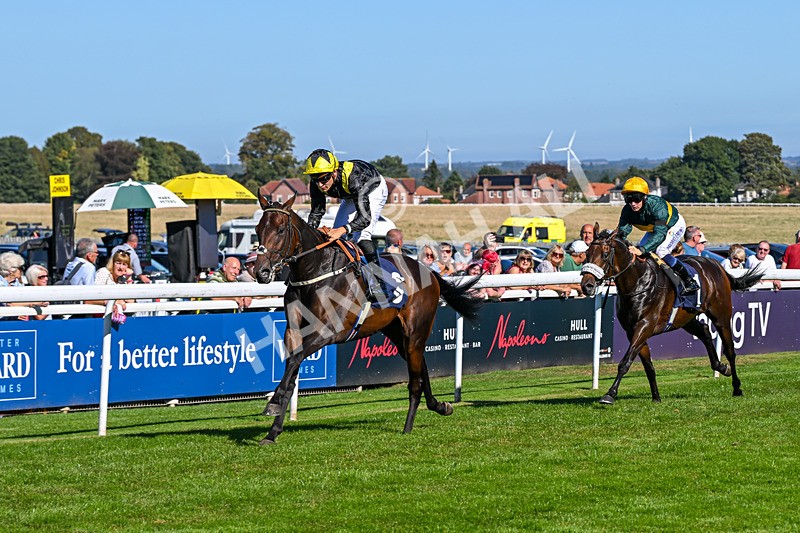 220926-Race 2-Bayraktar-3162 - Race 2 2.05pm Old Gravel Pits Lodges EBF Novice Stakes