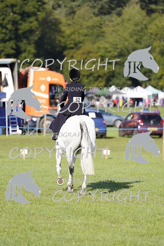 _DSC9468 - Class 8 & 17 Ridden Hunter & Ridden Hunter Pony