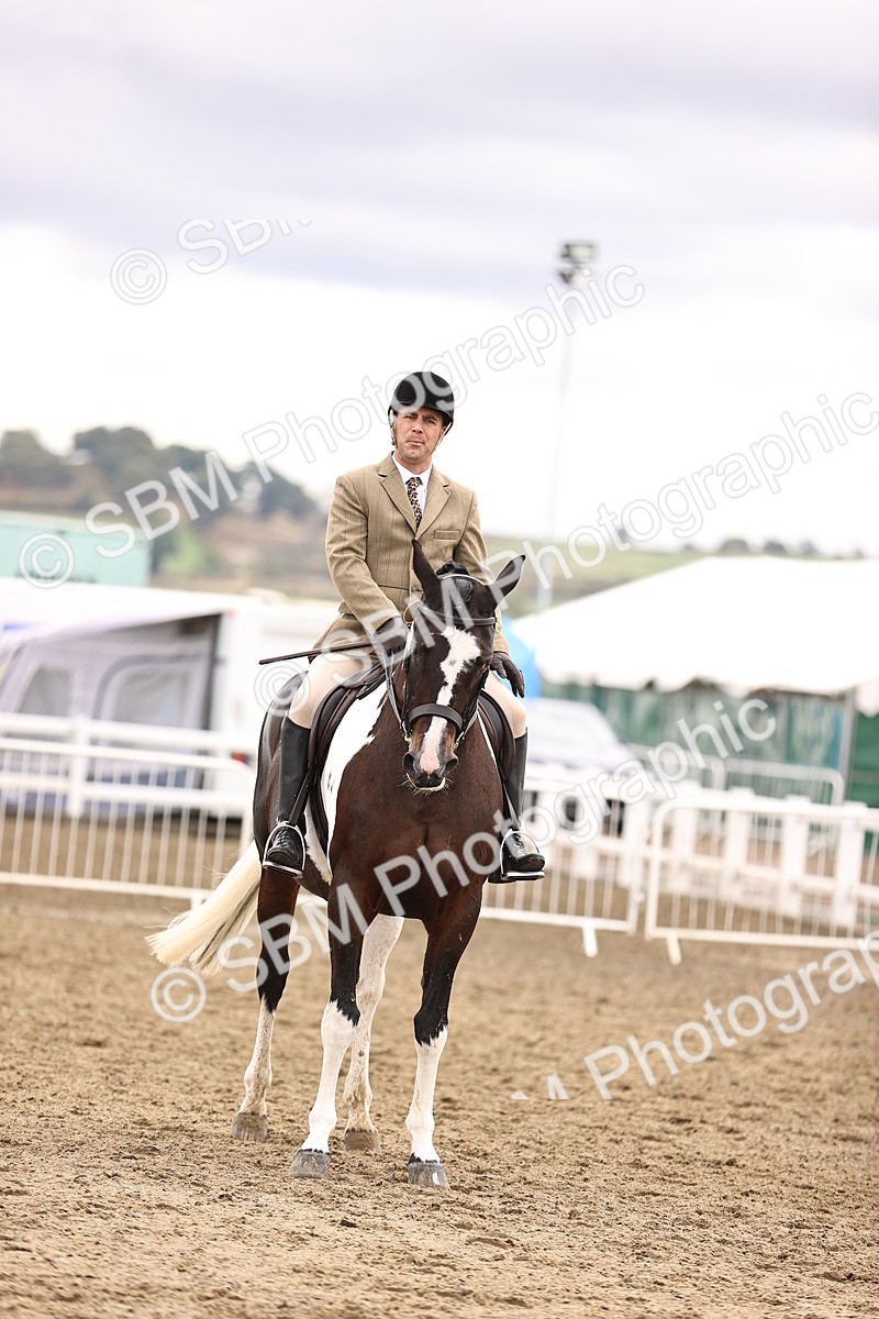 SBM_01401 - Class 54 - Riding Club Horse Pony