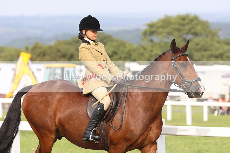 JPP_4585 - Working Hunter Championship