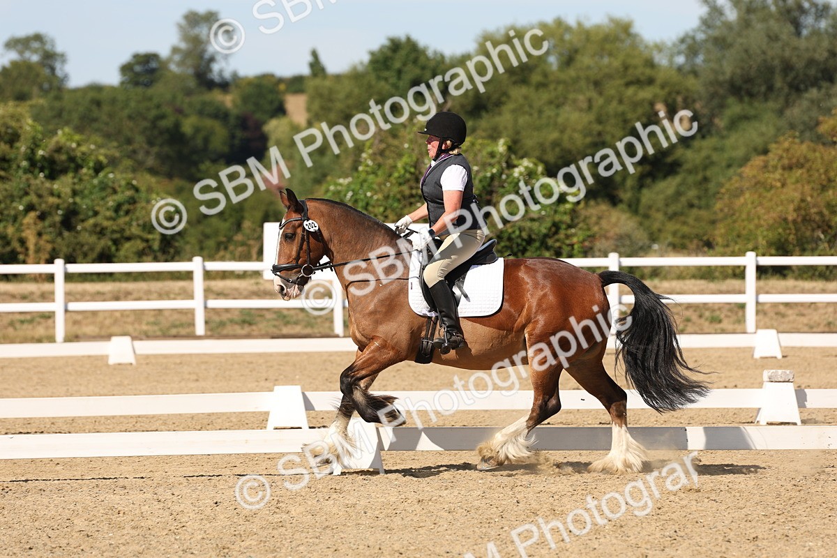 SBM_003792 - Elementary 4