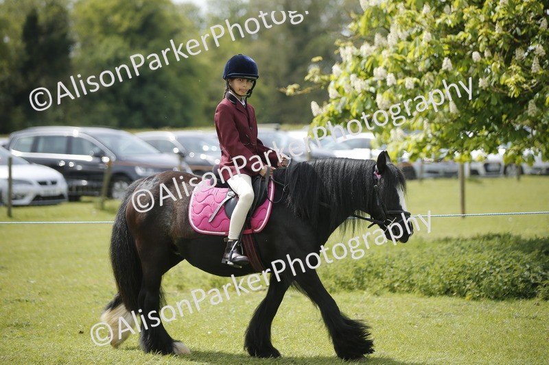 20260426-3443 - Class 11 - Best Mane and Tail