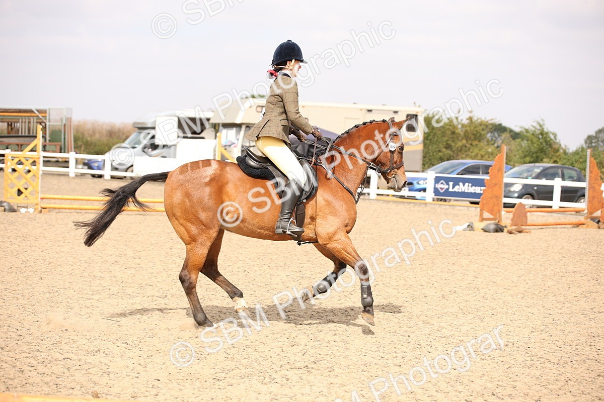 SBM_12912 - Class 406a - Working Veteran 50cm (15-19)