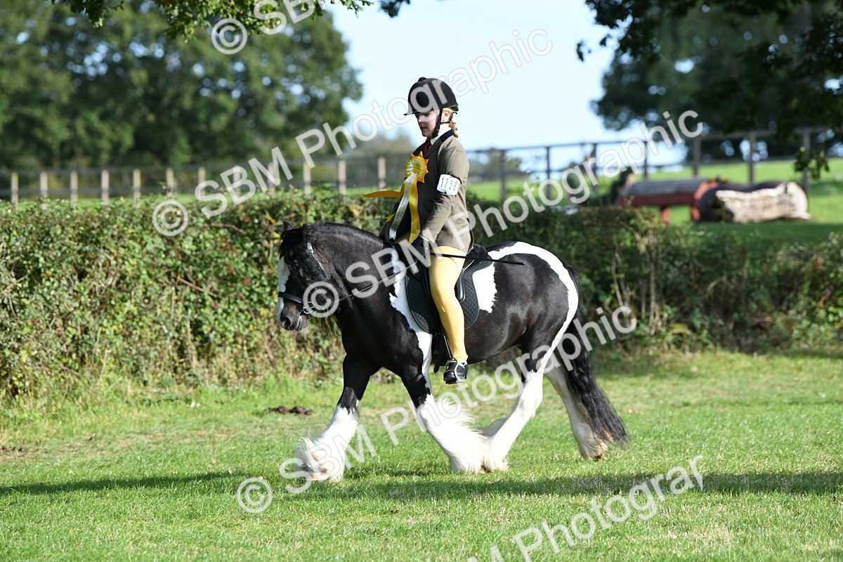 SBM_52106 - S21 - Novice & Newcomers 1st Ridden Pony
