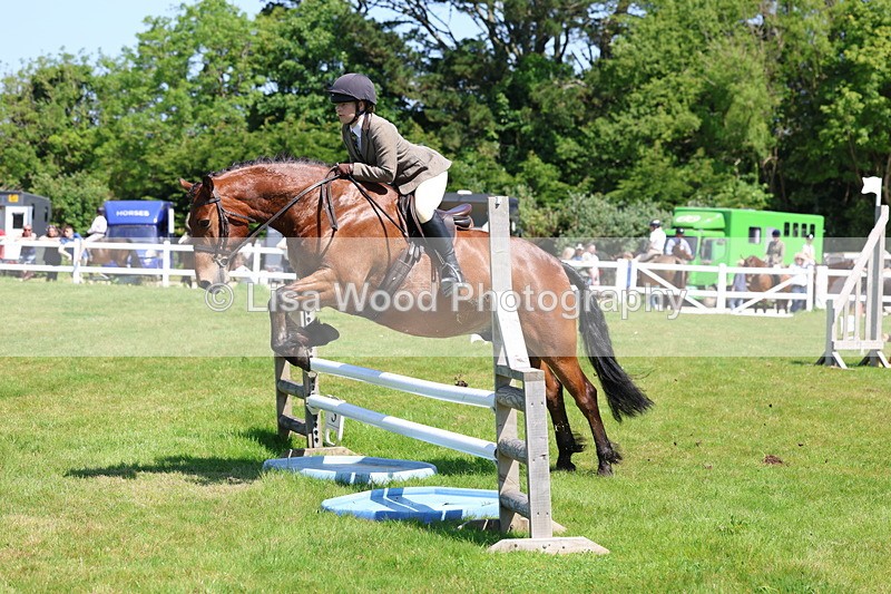 3E7A6960 - Class 30: Novice Working Hunter