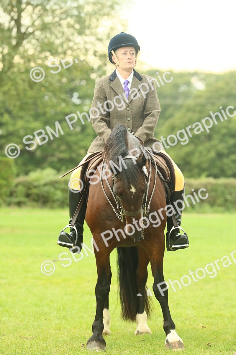 SBM_72199 - S60 - Mountain & Moorland Ridden Large Breeds