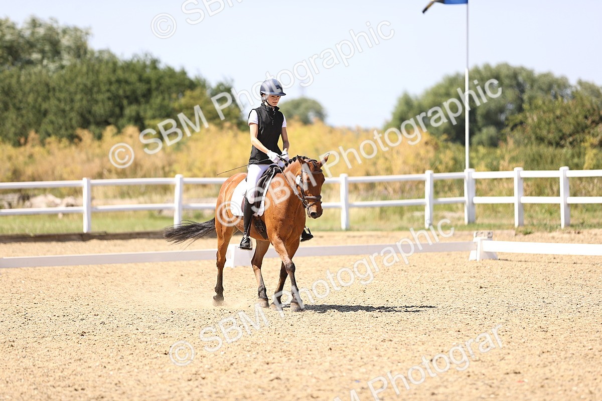 SBM_012419 - Novice 5 - 13.05-14.36