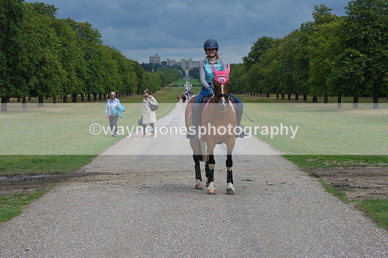 TT3_9254 - Time at Crossing 09:22 to 11:26