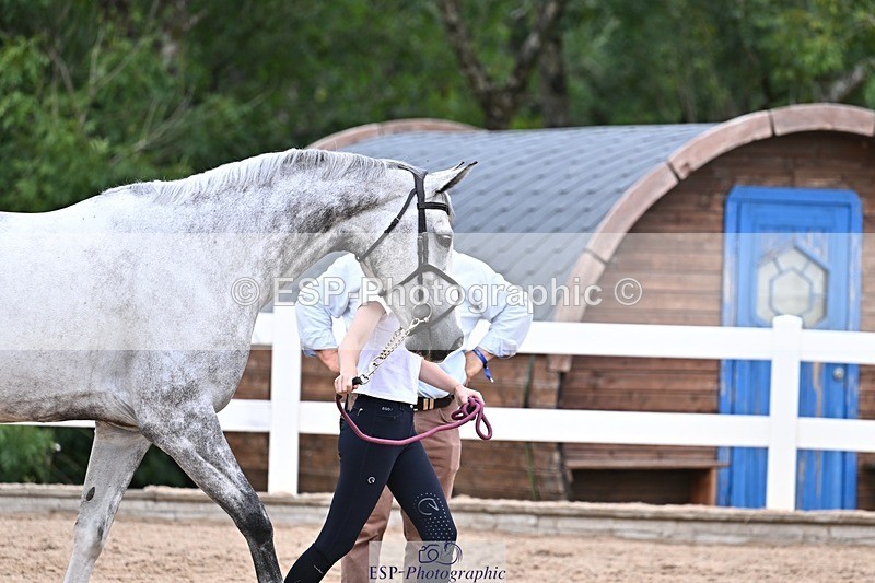 250716-133810-00603 - Trot Up 1.30 to 2.30