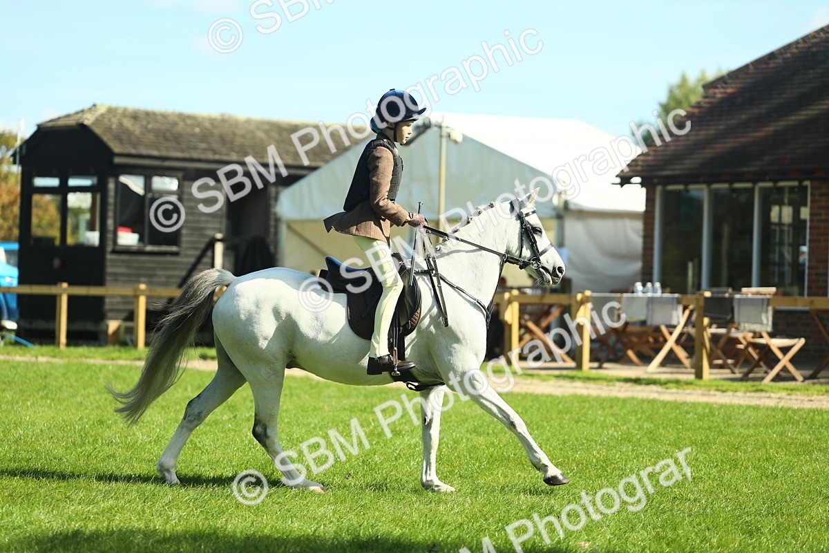 SBM_39198 - S29 - Novice & Newcomers Working Hunter Pony
