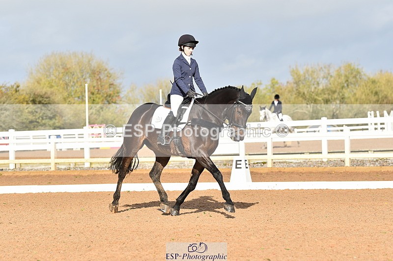 231104A-111710-01509 - Cls 5 Novice 37A