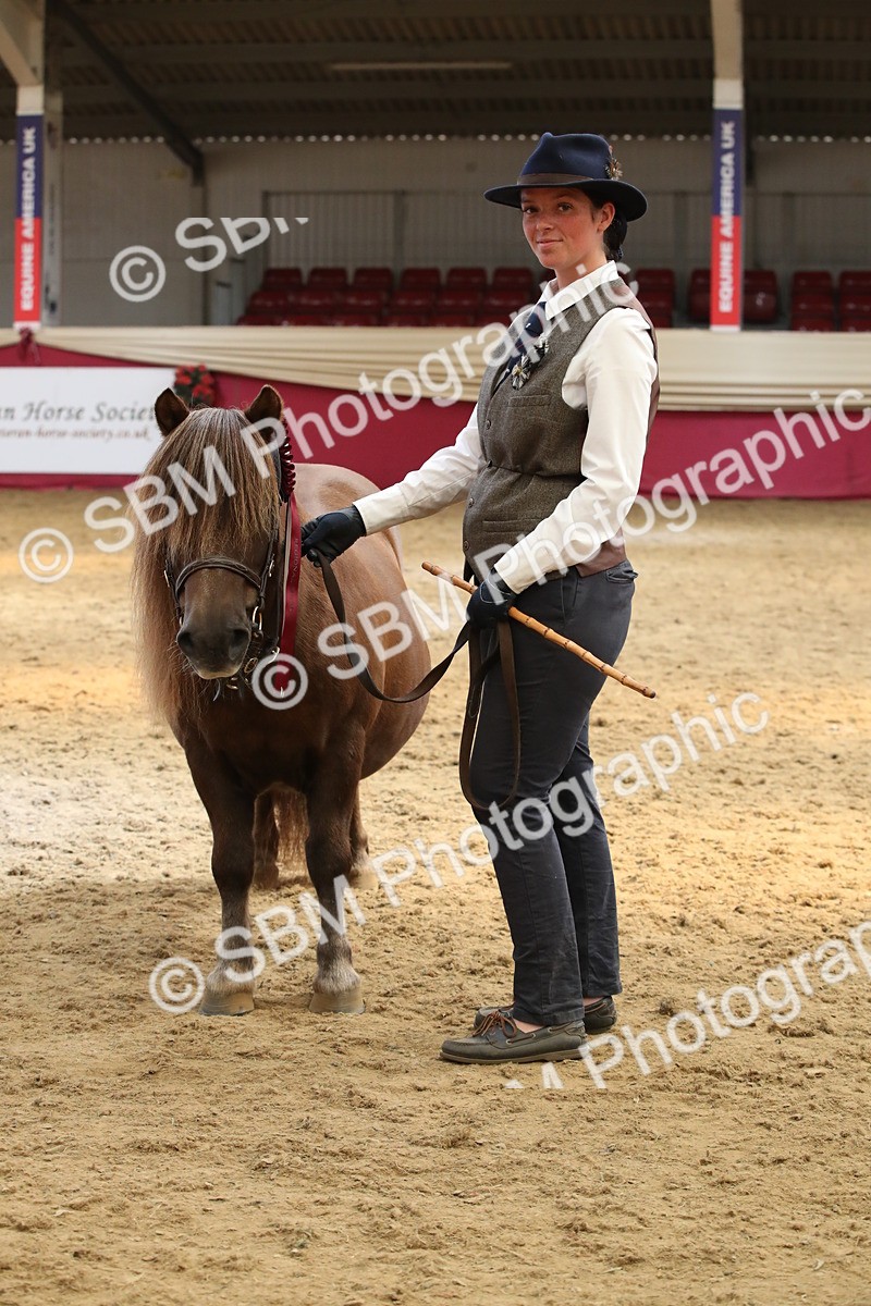 SBM_05429 - Class 8R - Regional IH Veteran