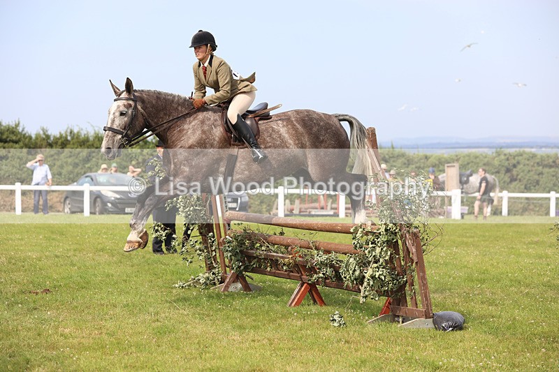 JPP_4086 - Class 24: Working Hunter 90cm