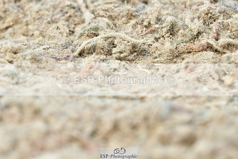 230702A-151210-10864 - Cls 34 Adv Medium 91